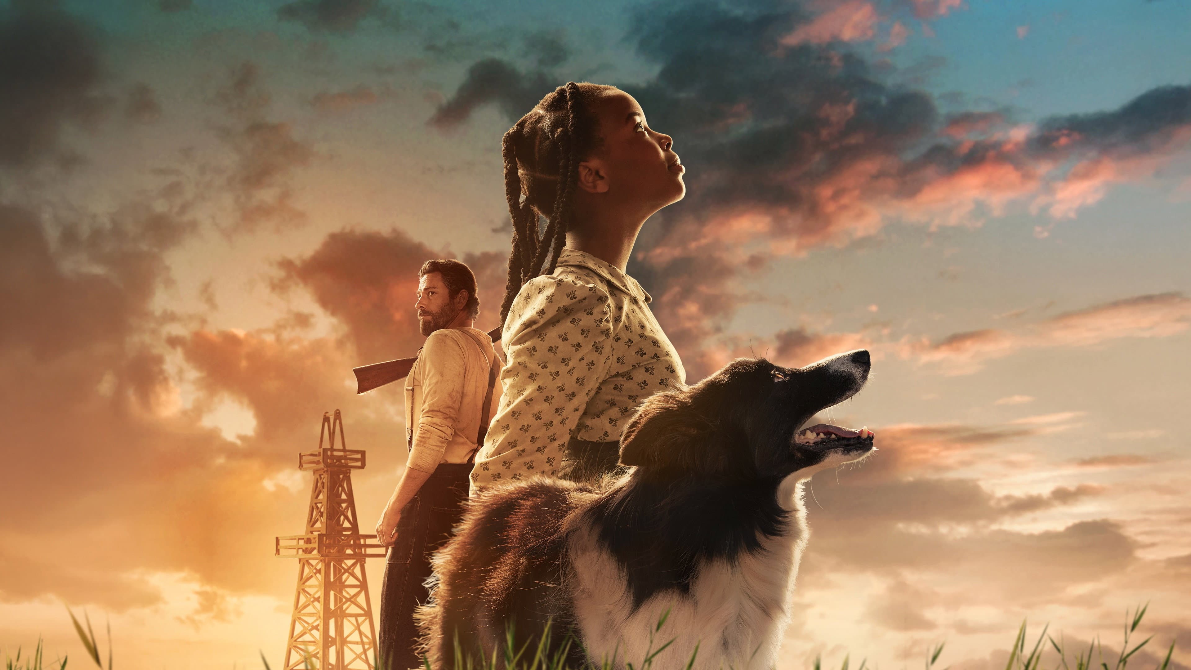 Banner Image of Sarah's Oil