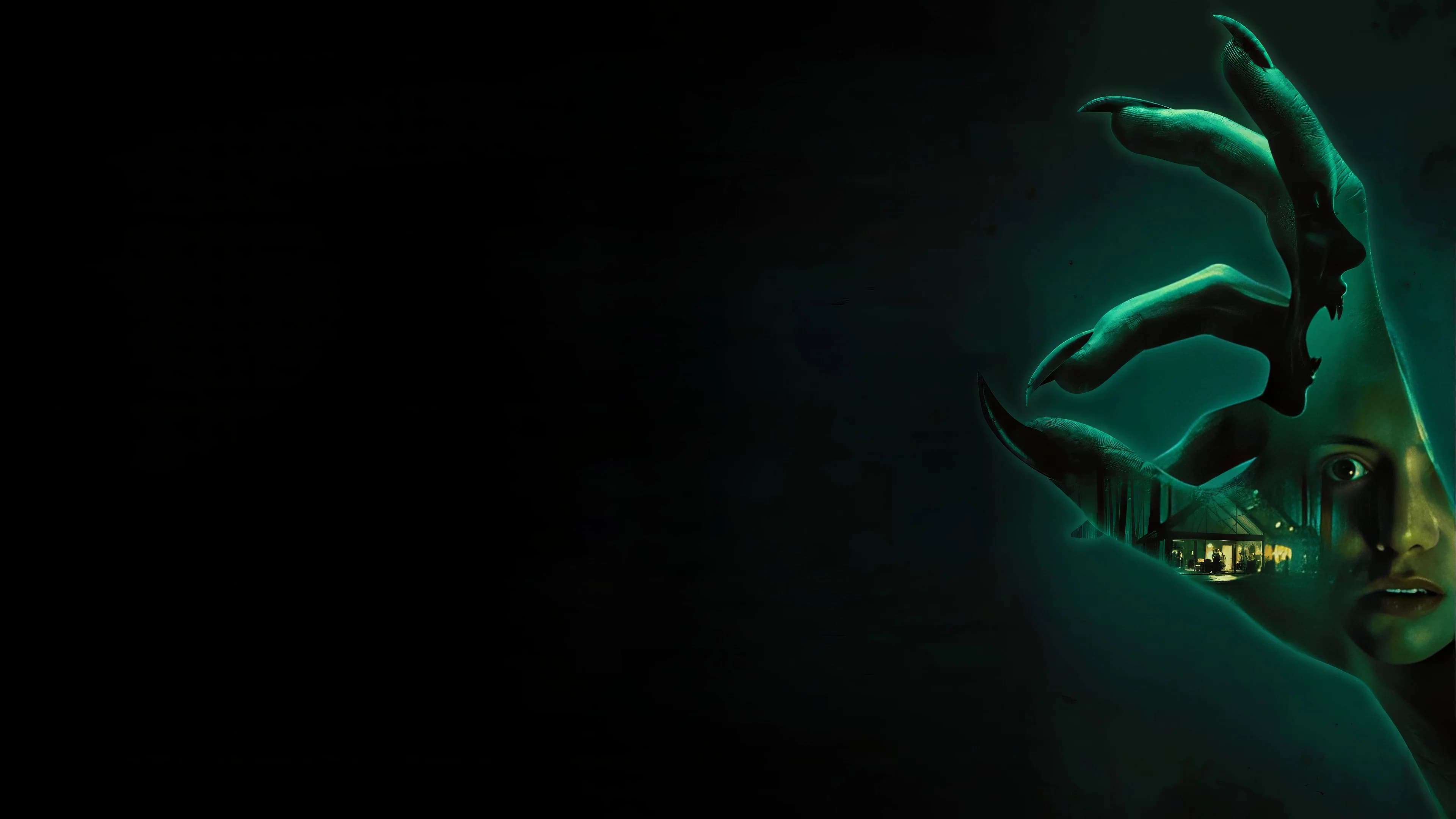 Banner Image of Feed