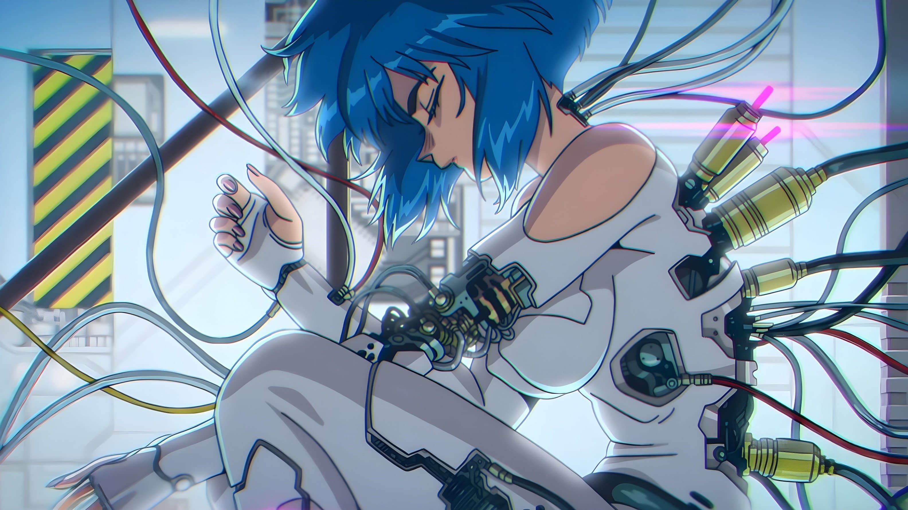 Banner Image of The Ghost in the Shell