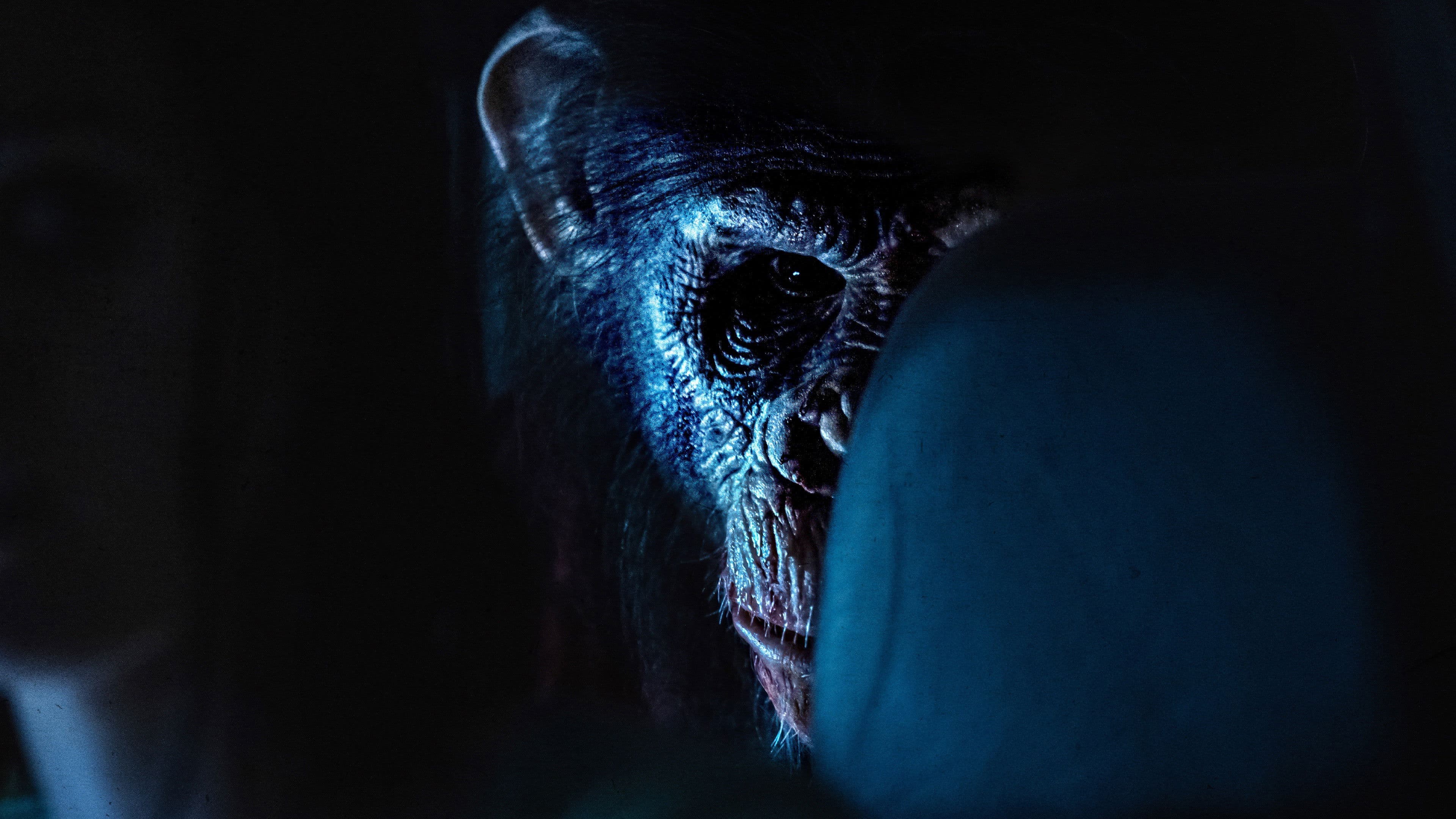 Banner Image of Primate