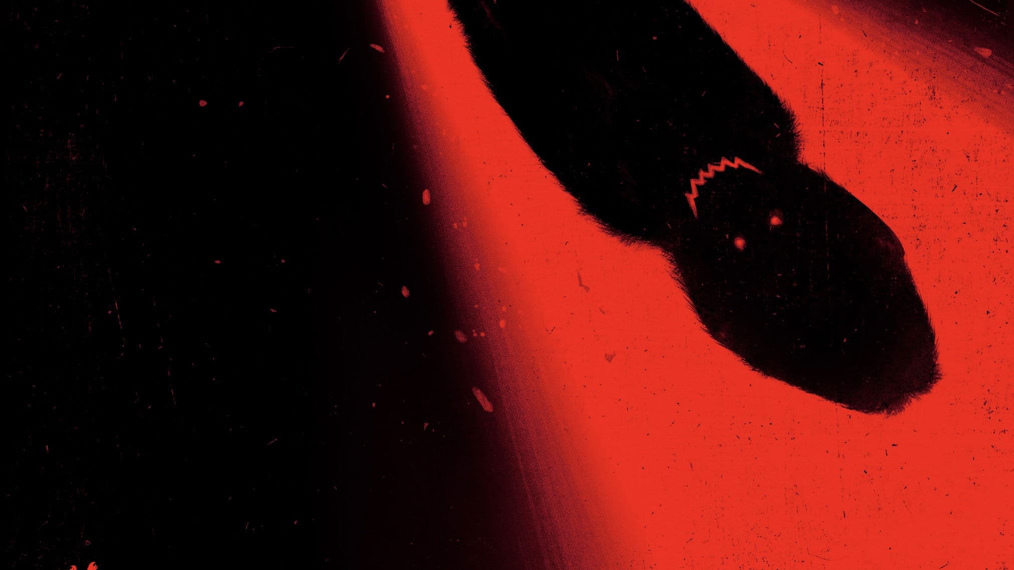 Banner Image of Primate