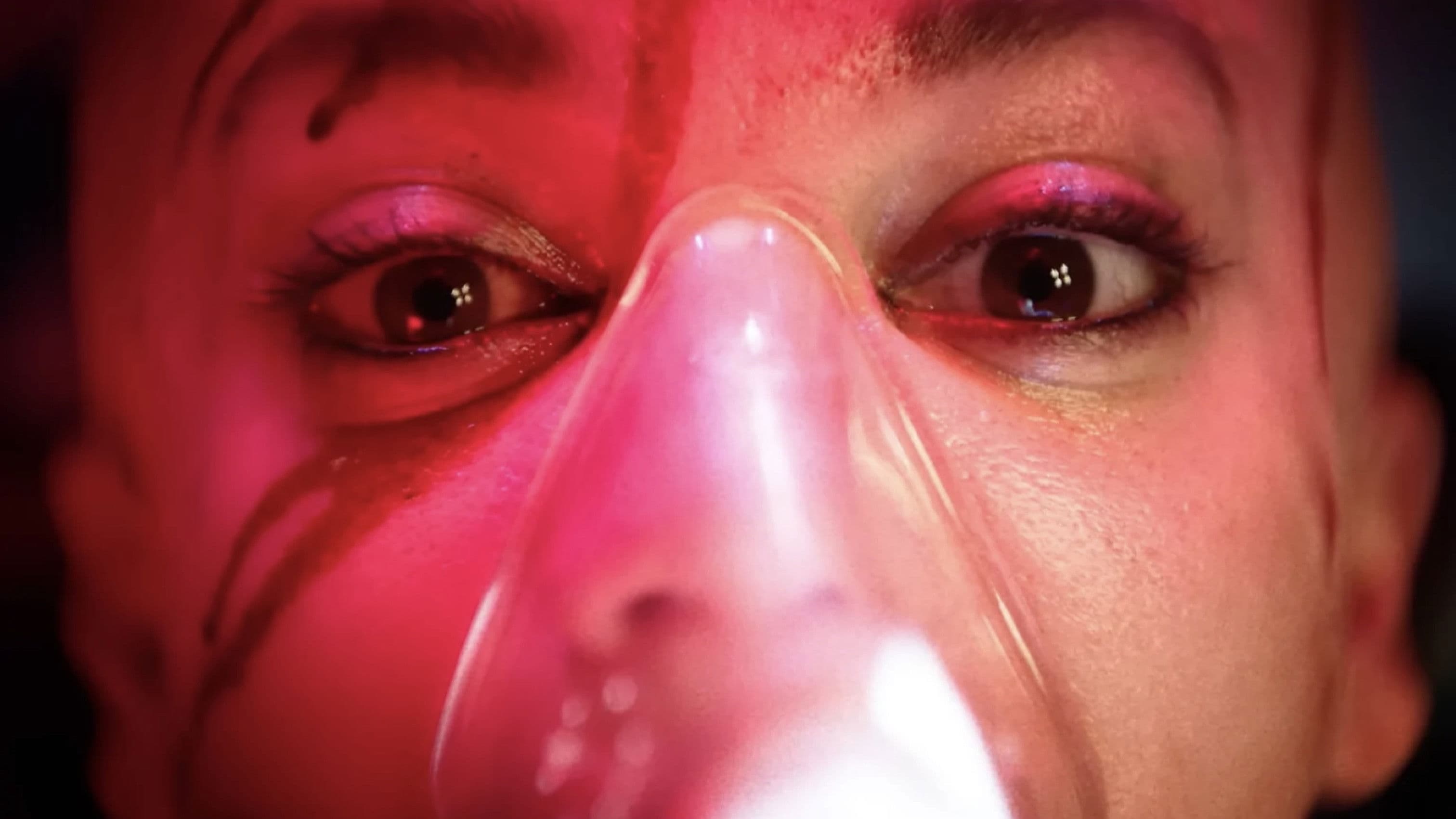 Banner Image of Twisted