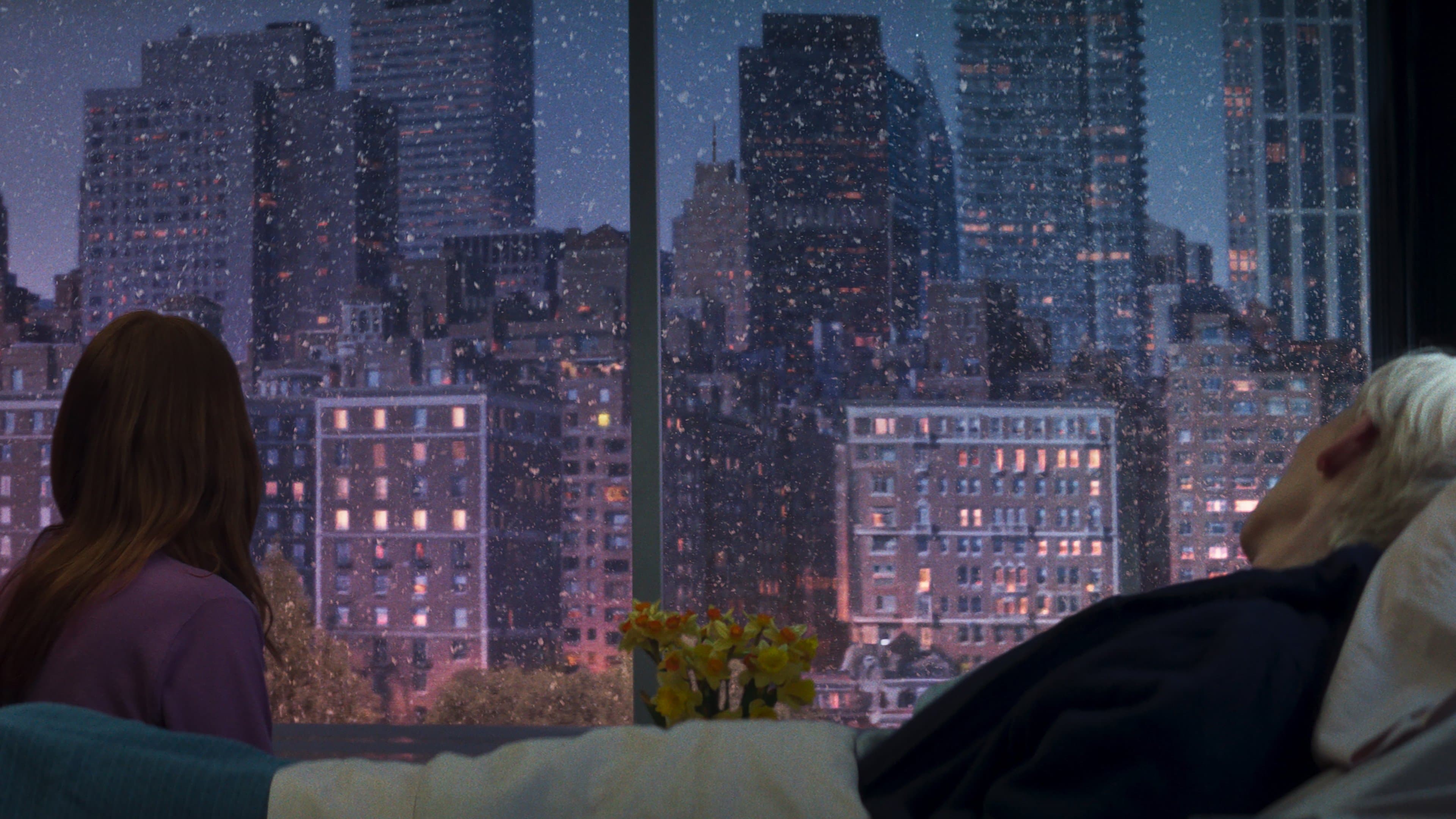 Banner Image of The Room Next Door