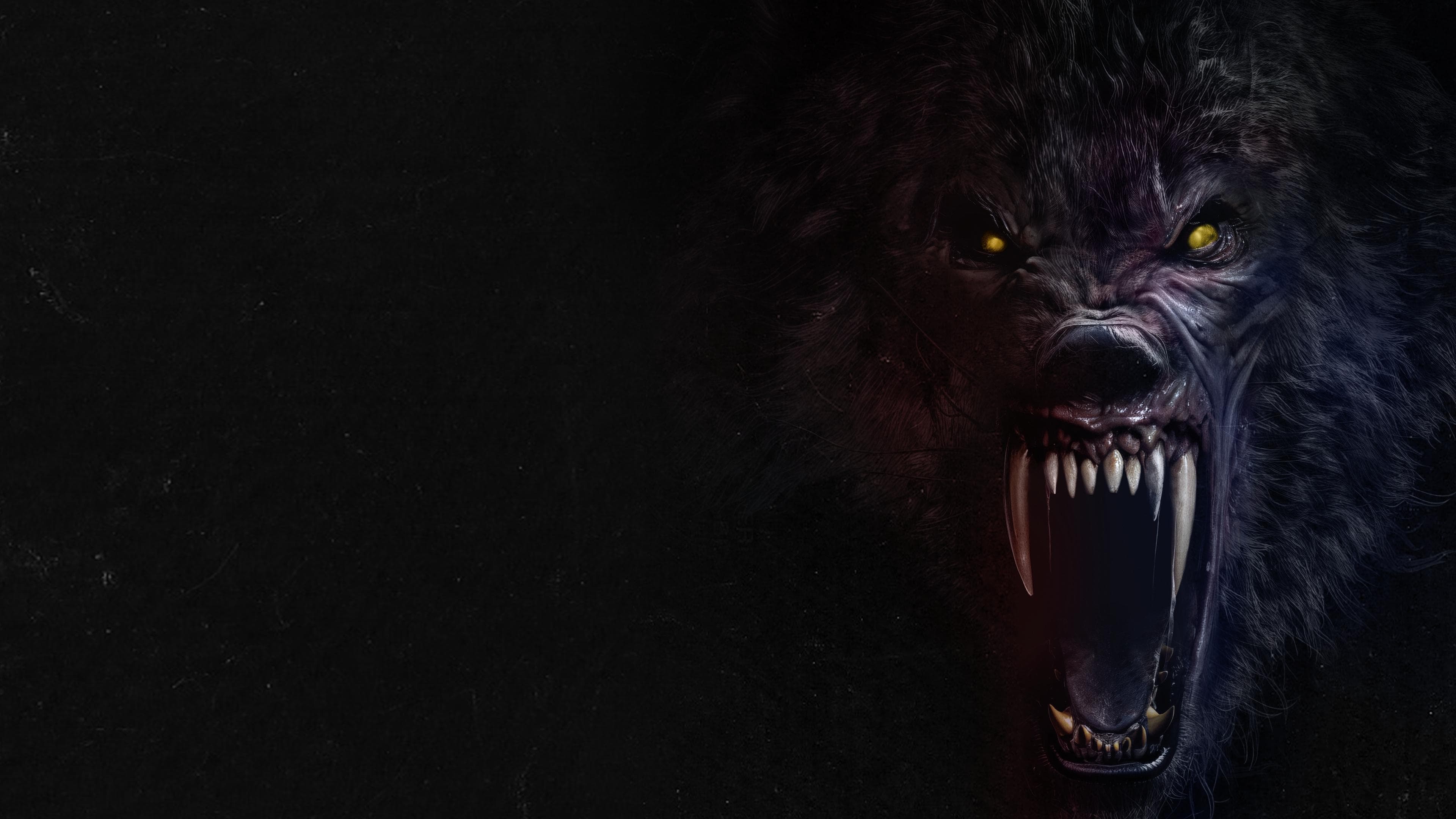 Banner Image of Werewolves