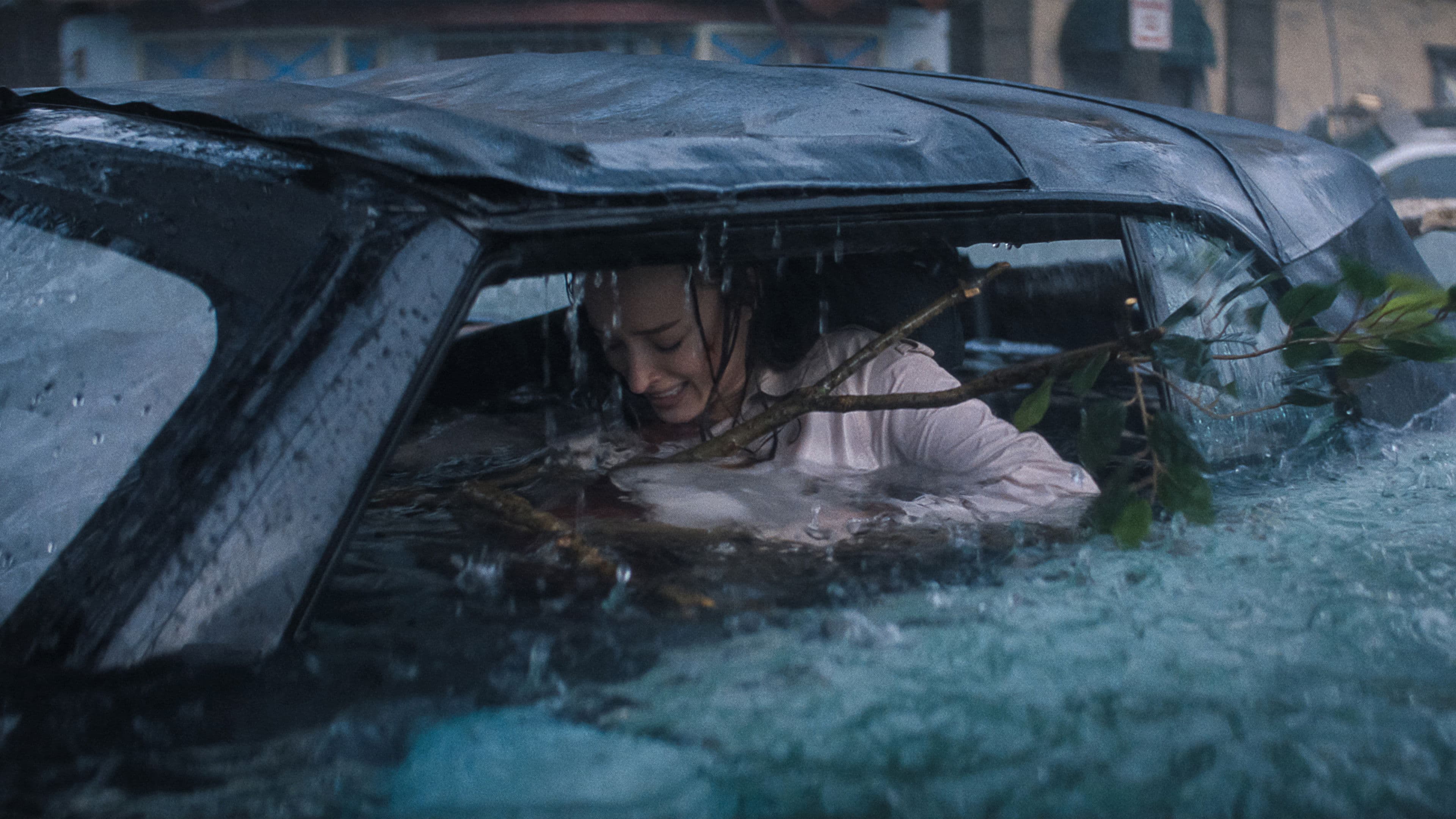 Banner Image of Thrash