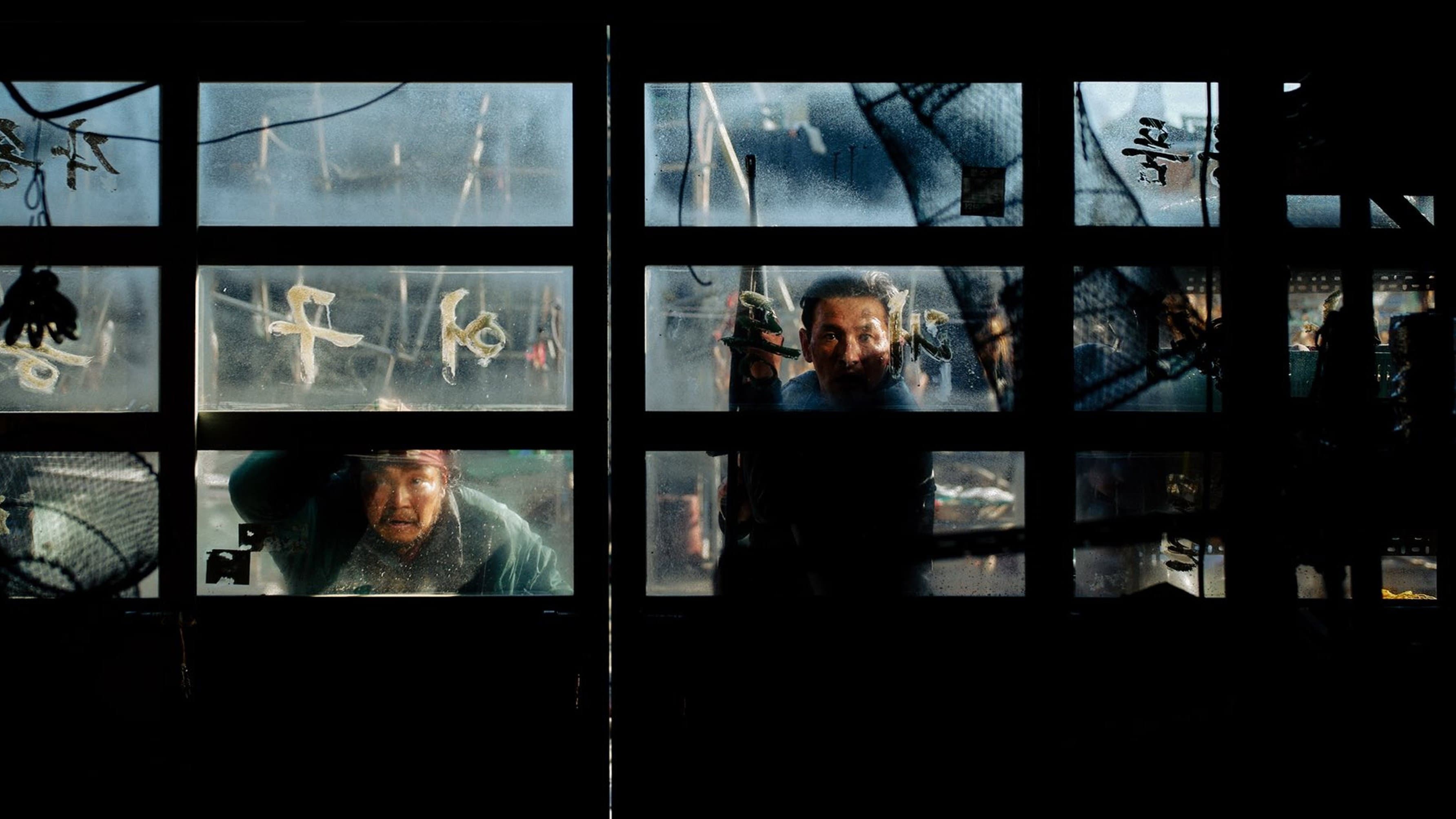 Banner Image of Hope