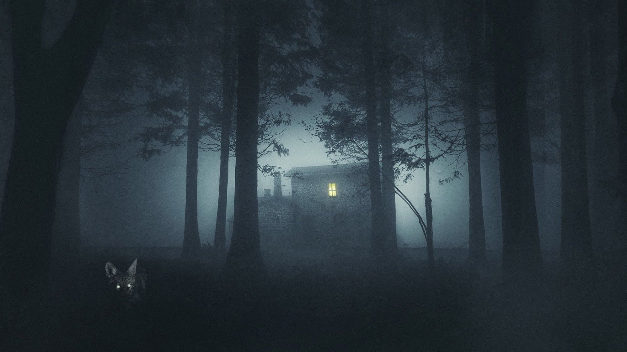 Banner Image of Shelby Oaks