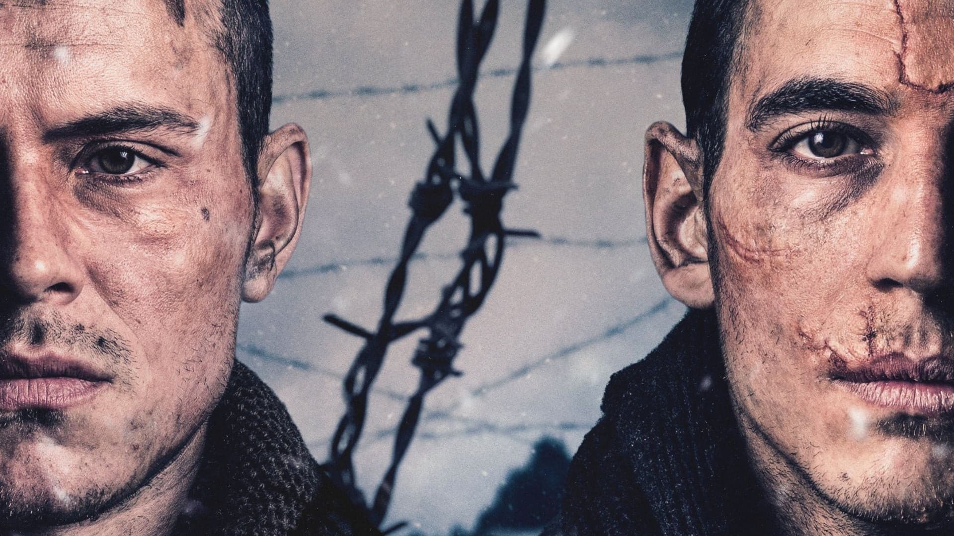 Banner Image of The Truce