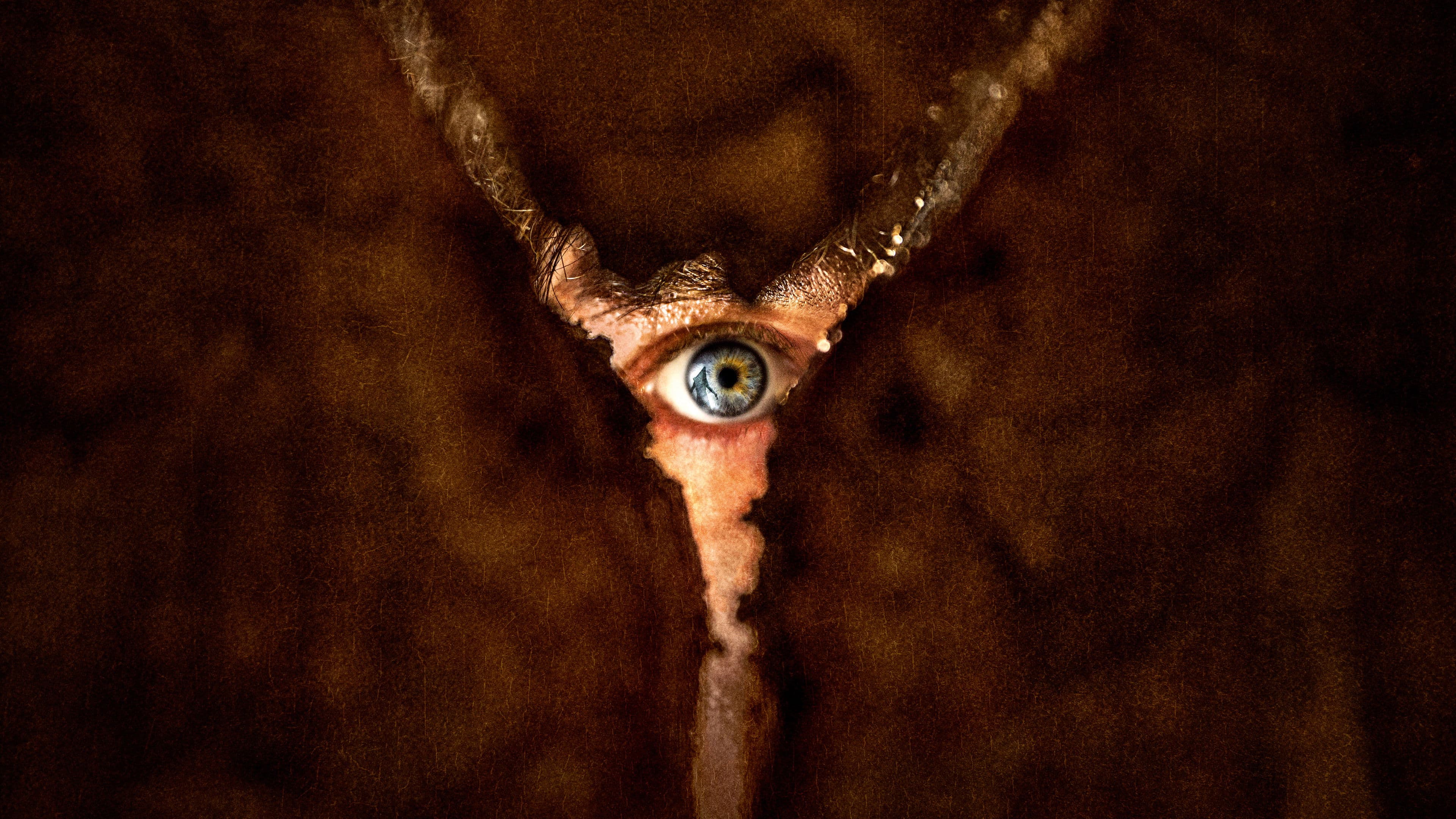 Banner Image of Return to Silent Hill