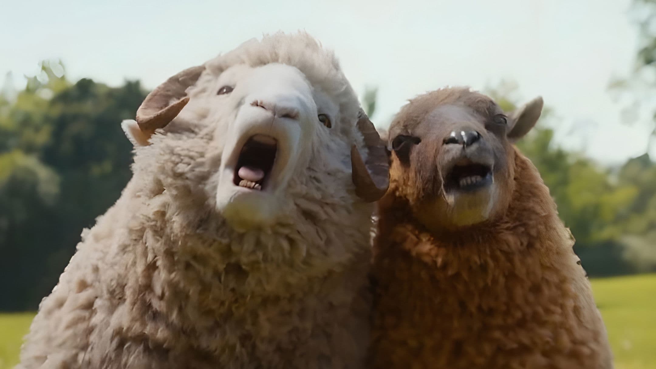 Banner Image of The Sheep Detectives
