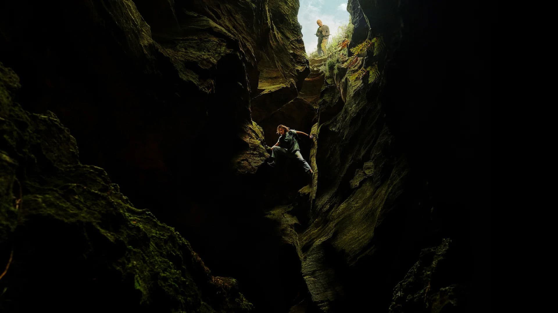 Banner Image of Apex