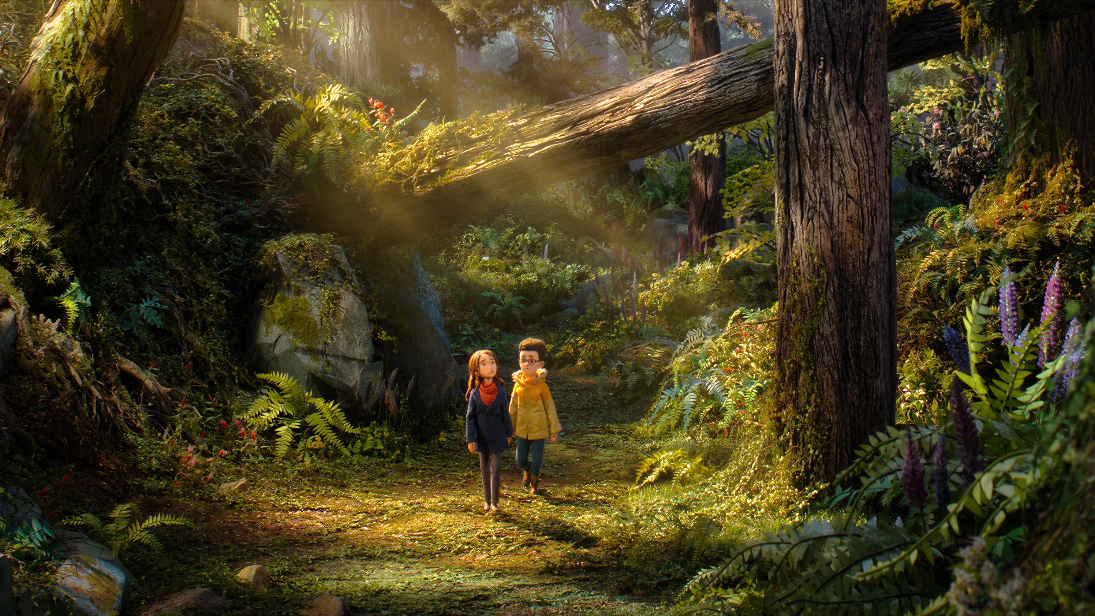 Banner Image of Wildwood