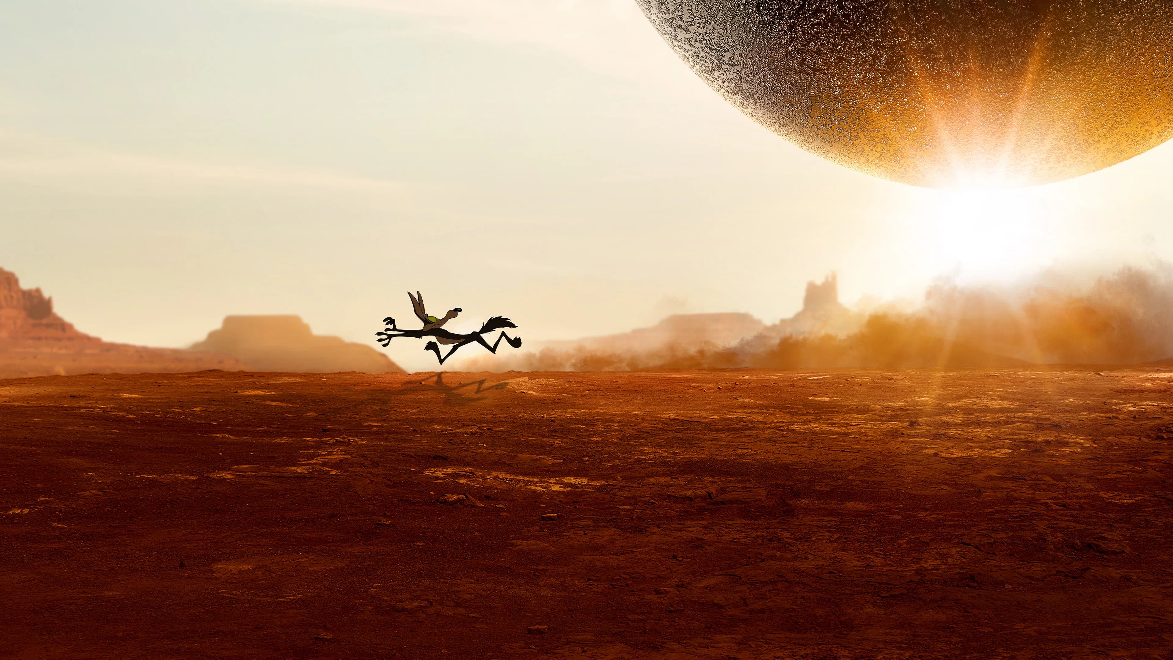 Banner Image of Coyote vs. Acme