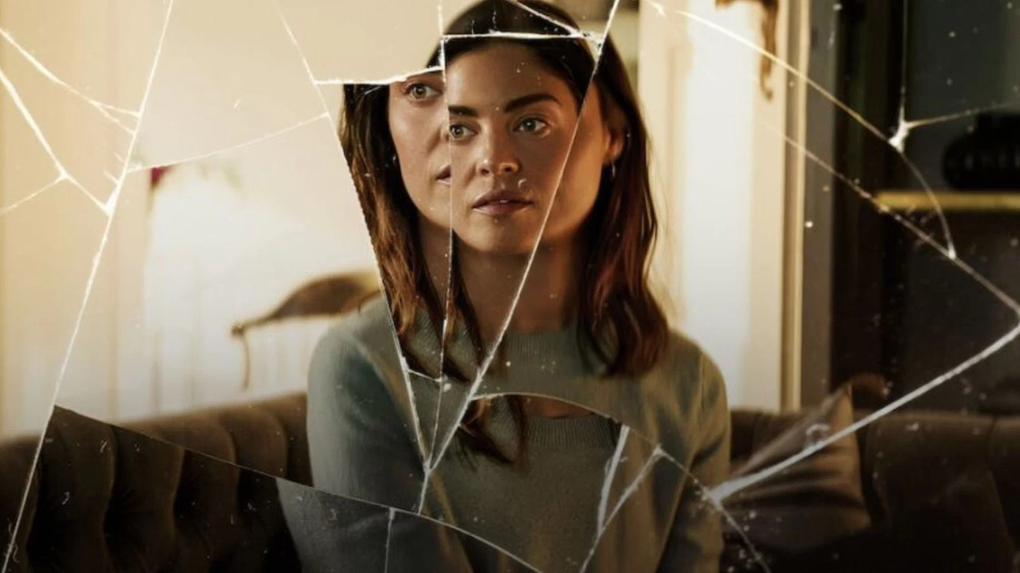 Banner Image of The Secret Woman