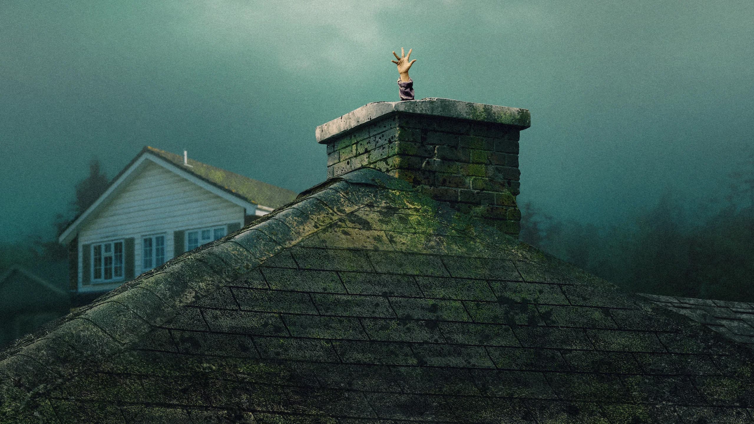 Banner Image of The Last House