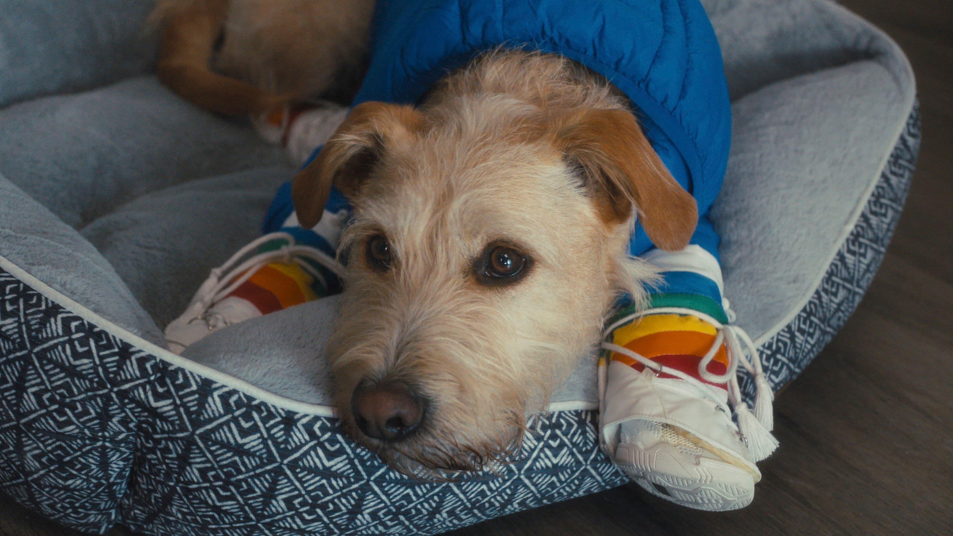 Banner Image of Merv