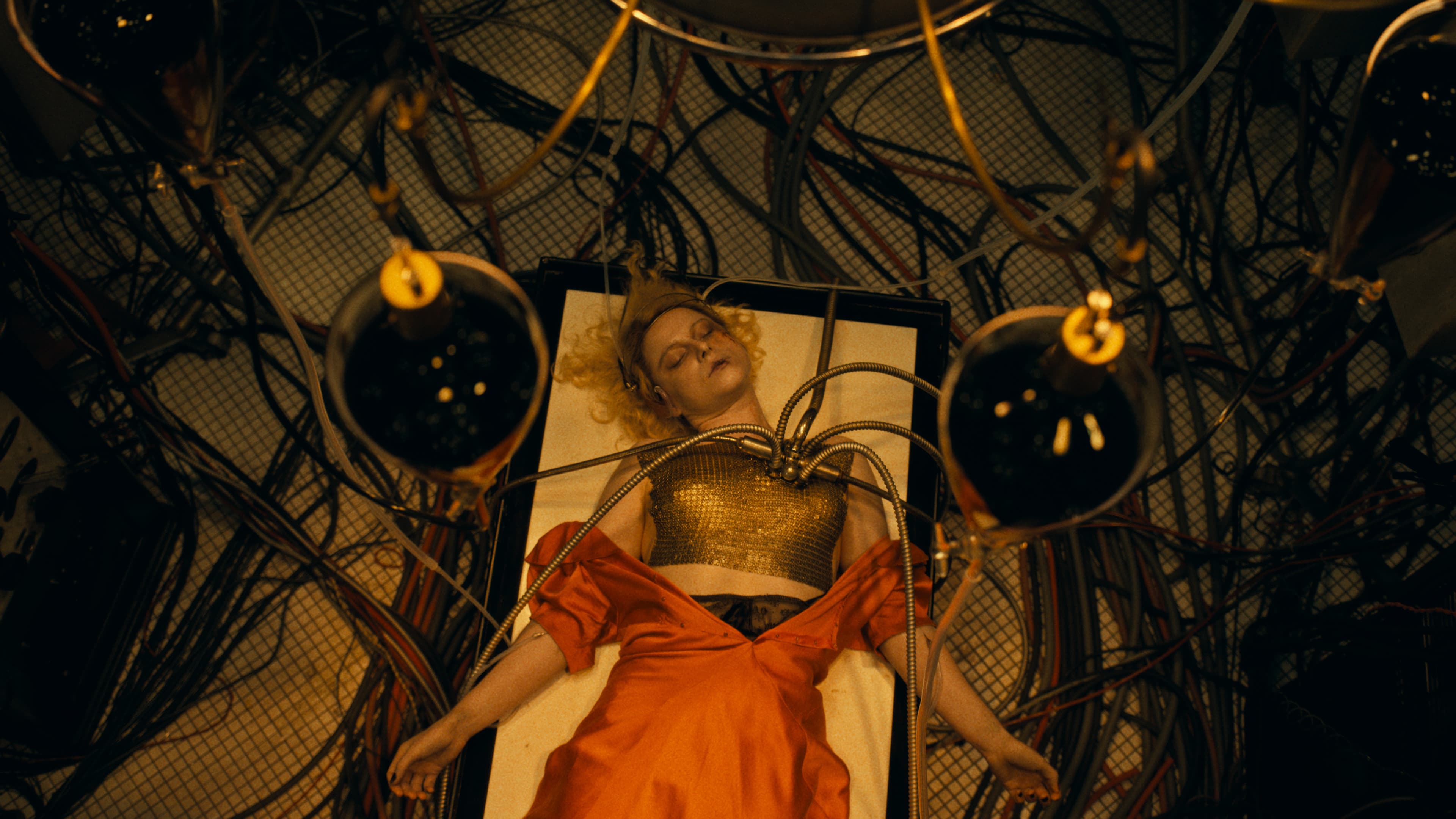 Banner Image of The Bride!