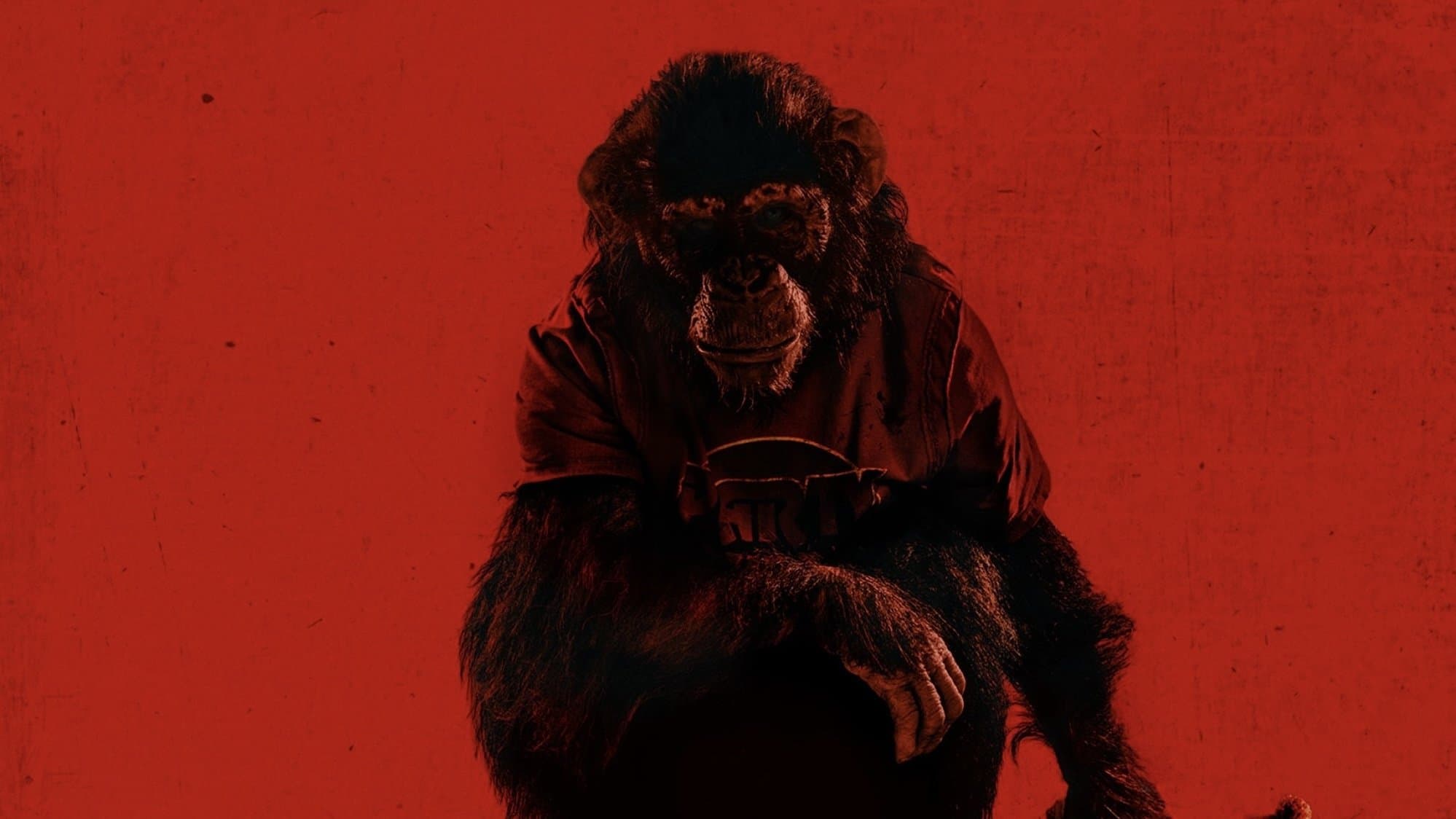 Banner Image of Primate