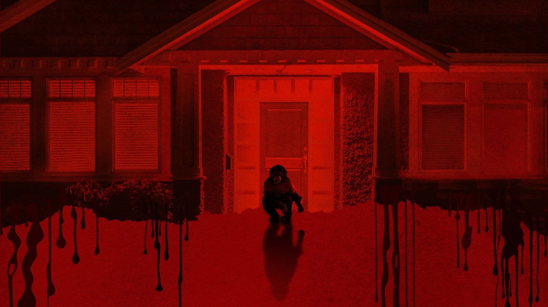 Banner Image of Primate