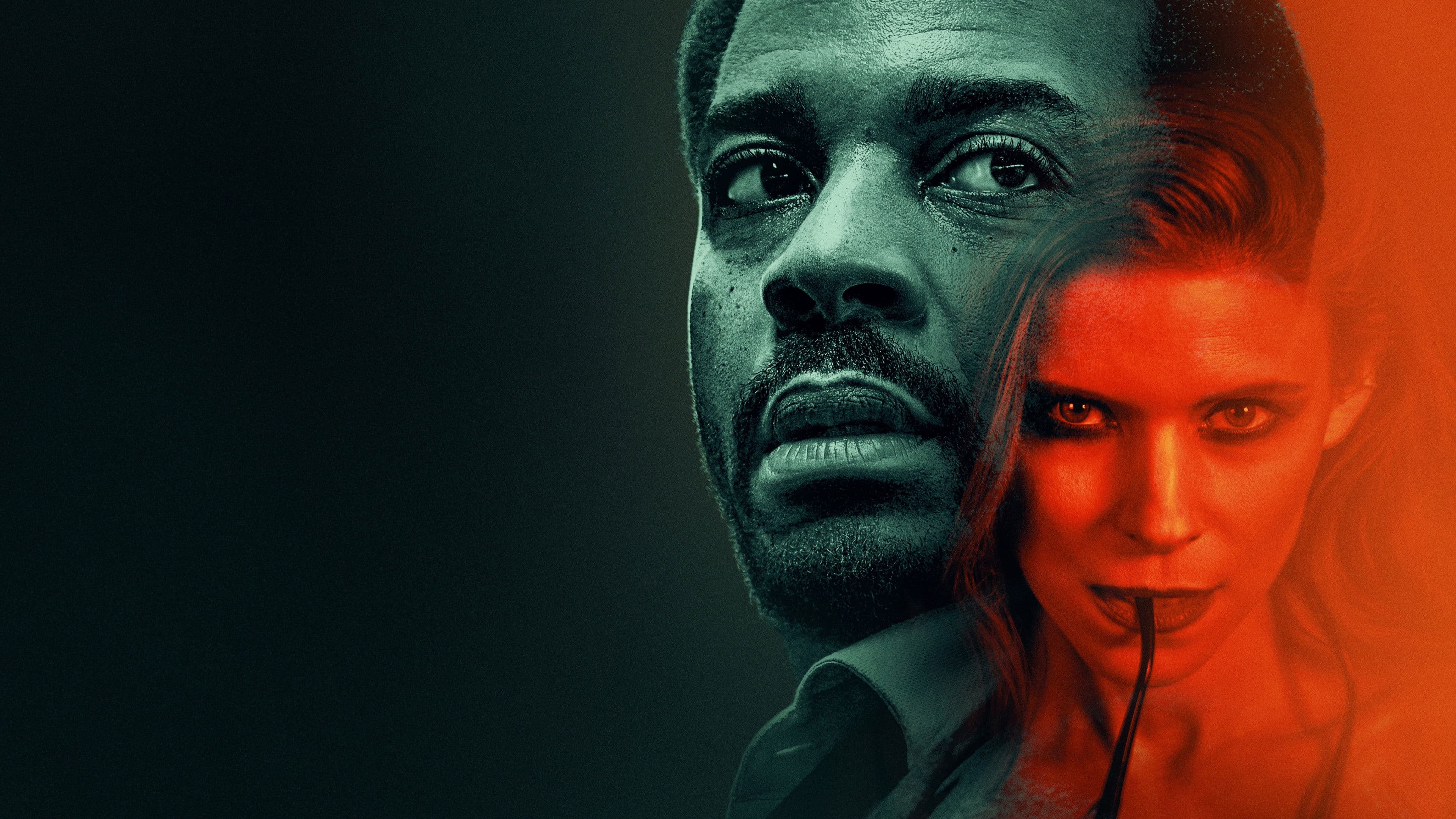 Banner Image of The Dutchman