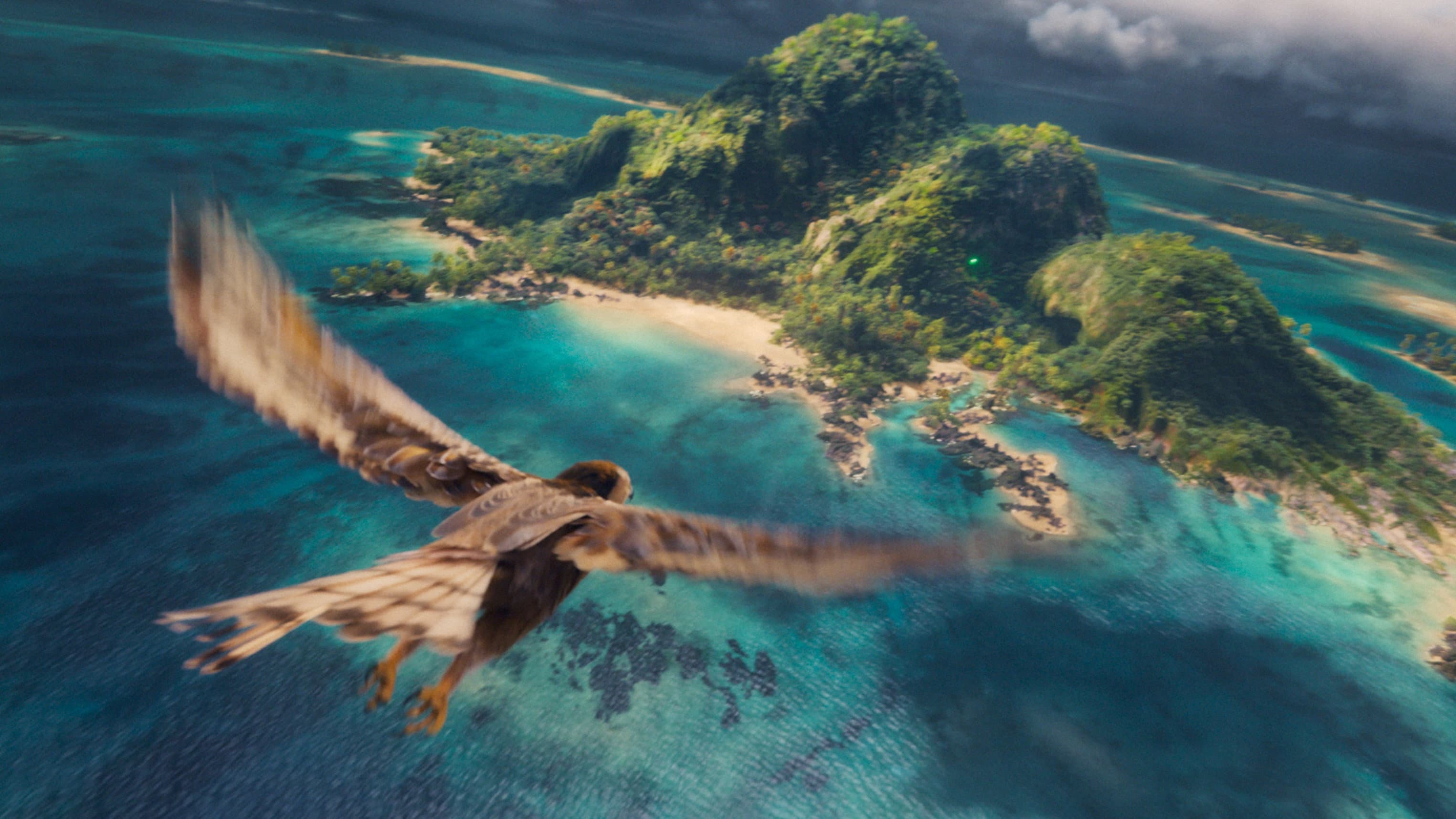 Banner Image of Moana