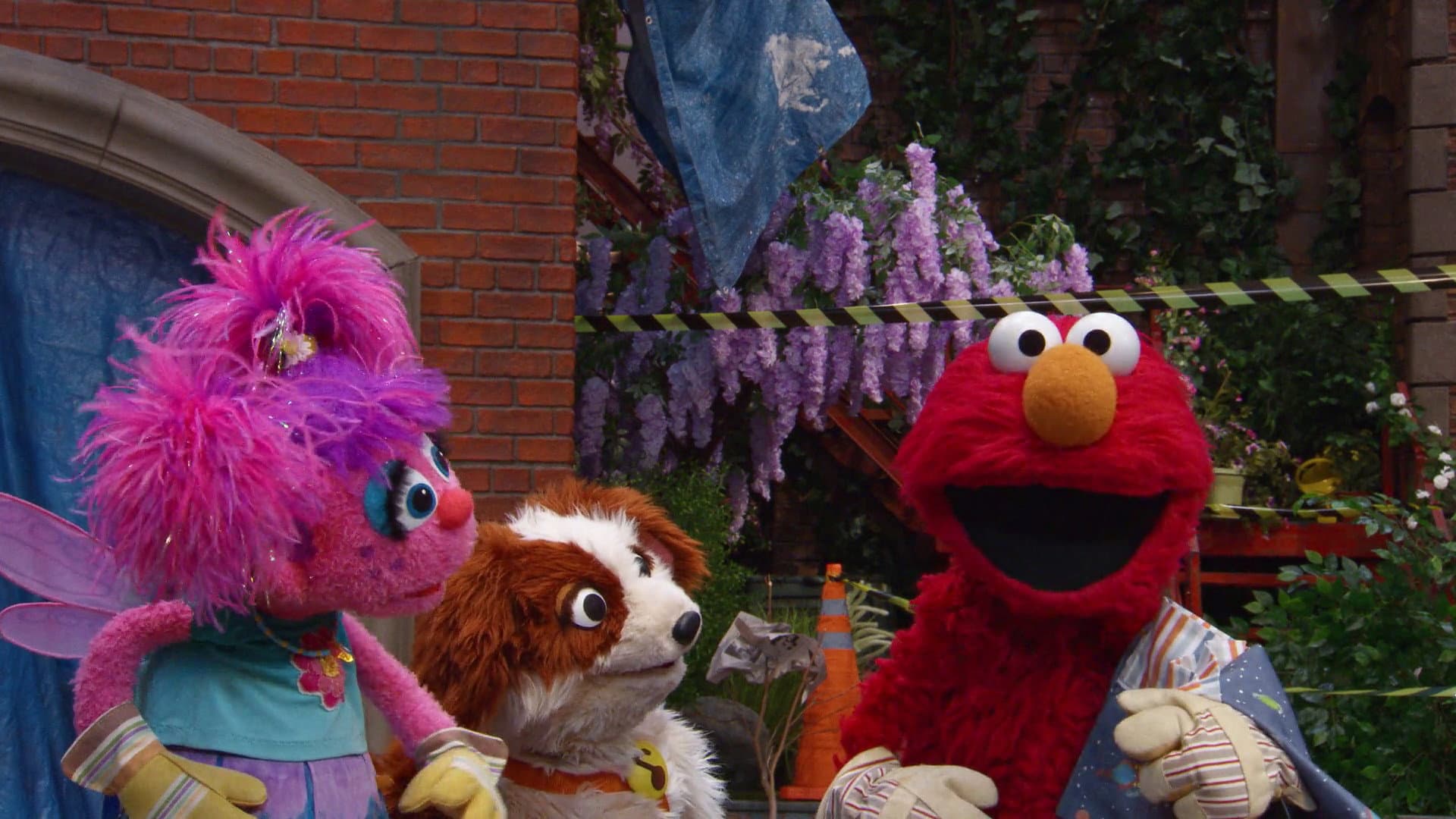 Banner Image of Storm on Sesame Street