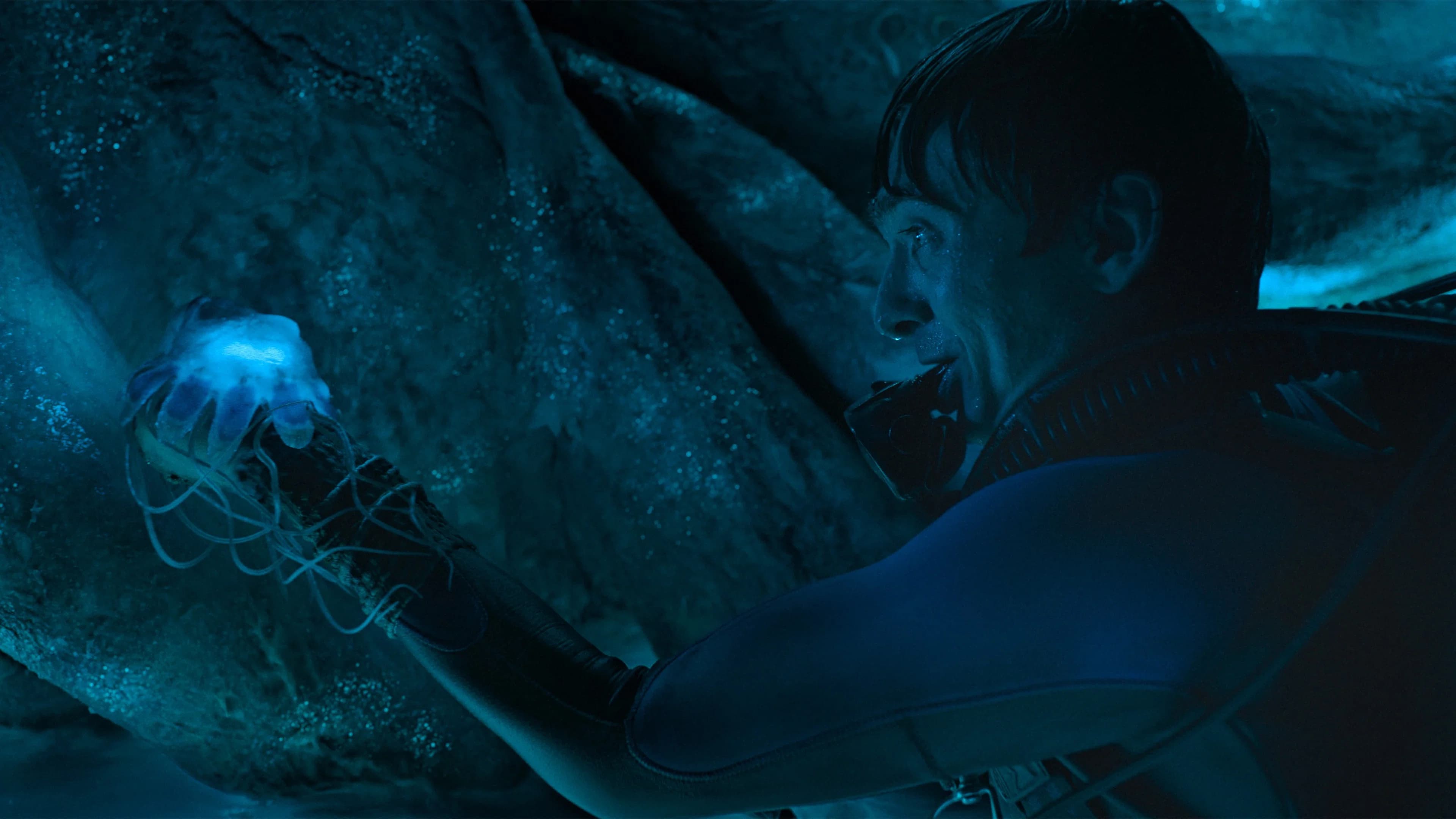Banner Image of Whalefall