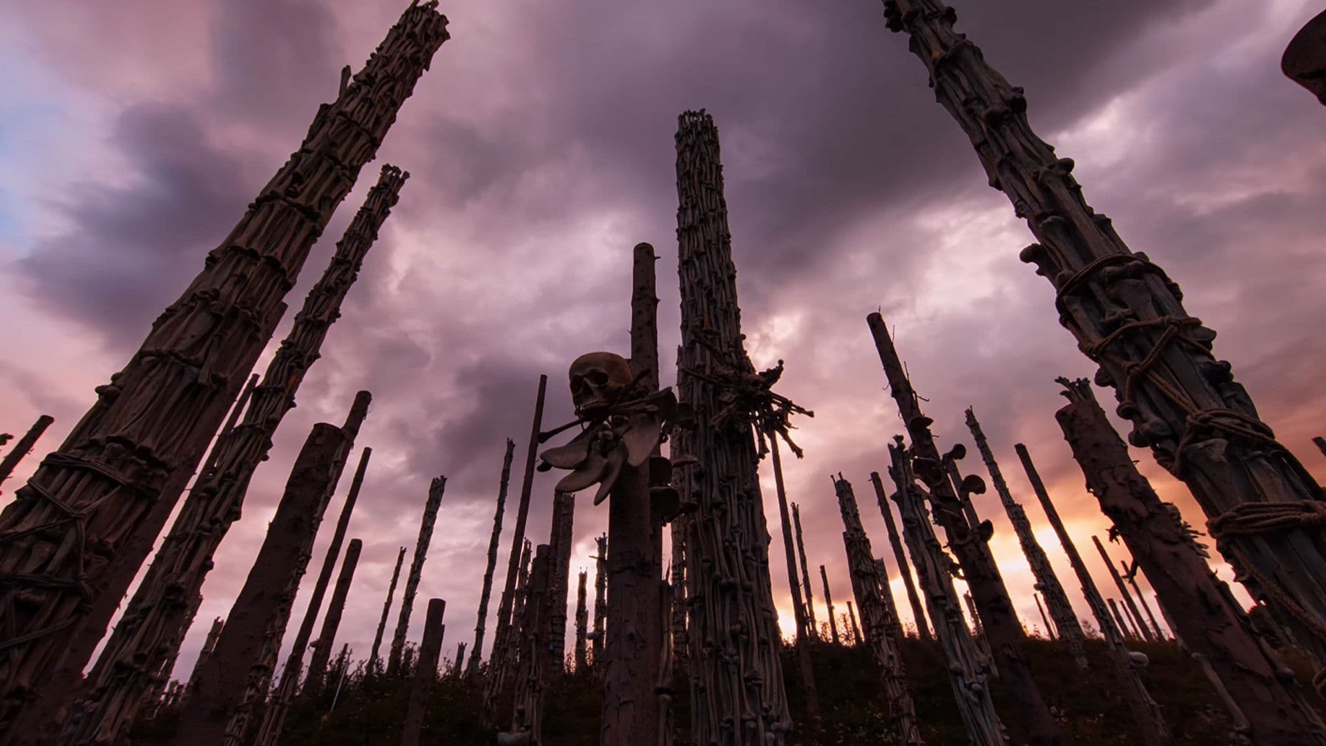 Banner Image of 28 Years Later: The Bone Temple