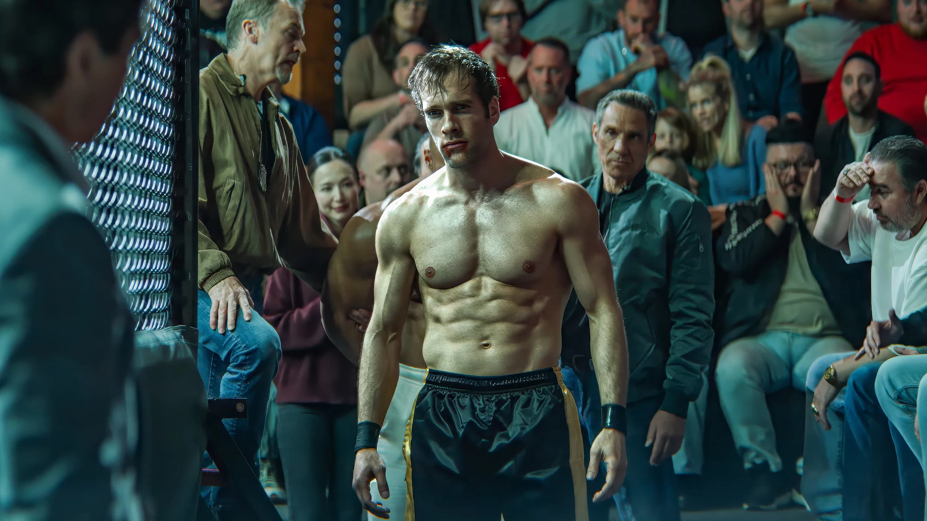 Banner Image of Lion Fist