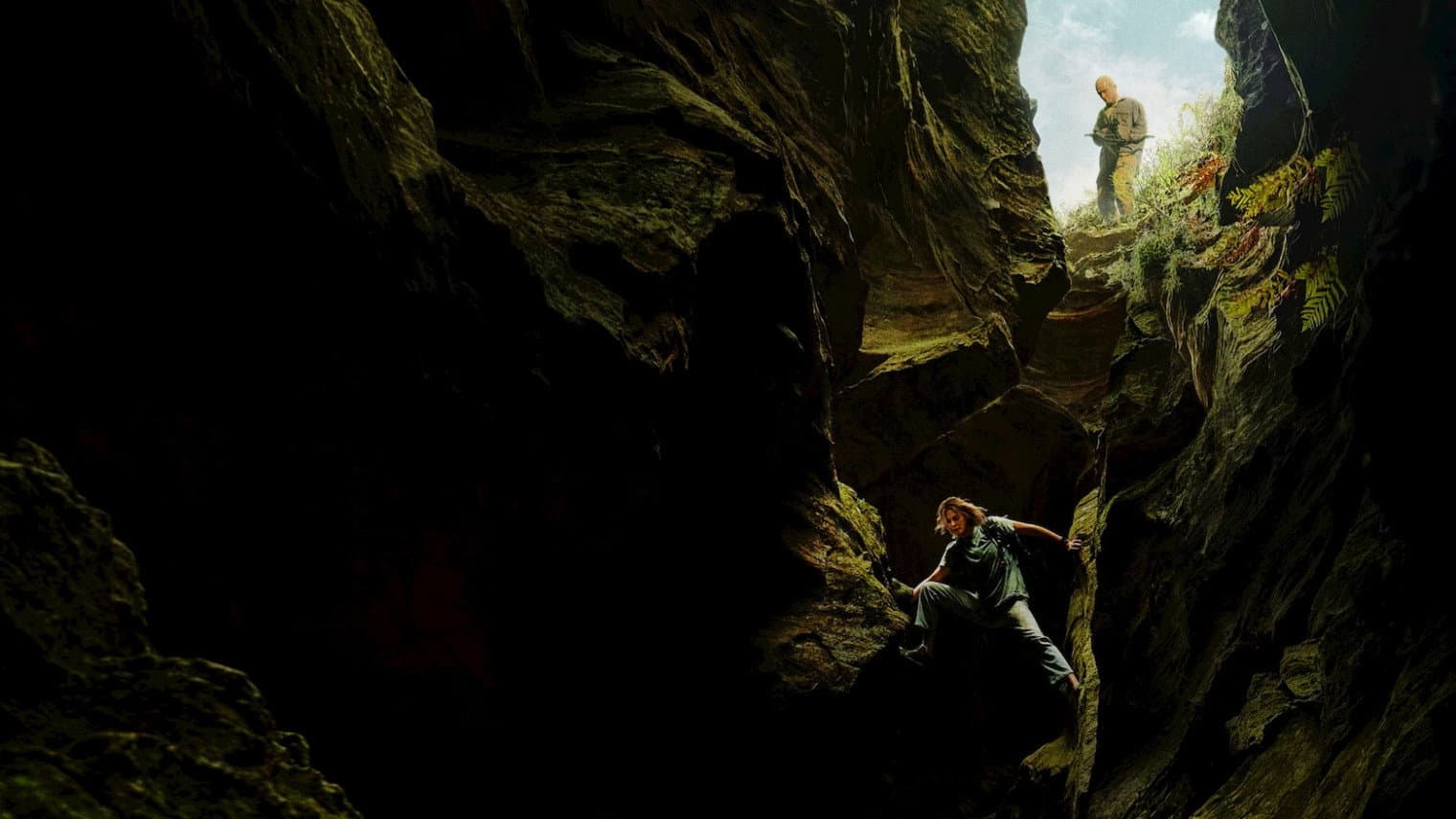Banner Image of Apex
